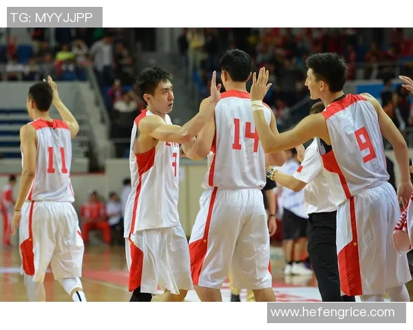 2013年男篮对战日本精彩回顾与赛后分析